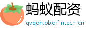 蚂蚁配资